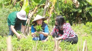 PT Vale Dorong Kemandirian Warga Lokal di Sektor Ketahanan Pangan