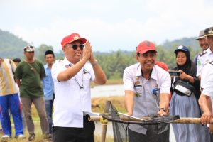 Ditemani Alimuddin Natsir, Bupati Budiman Panen Raya Ikan Bandeng di Desa Tabaroge