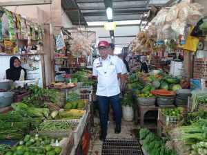 Bupati Budiman: Masyarakat Senang Presiden Jokowi Datang ke Luwu Timur