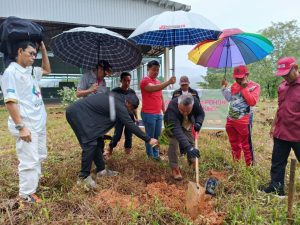 Gerakan Peduli Ki Saya Jaga Ki, Bupati Budiman Tanam Durian Jenis Musangking dan Bawor