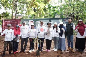 Ketua PKK Luwu Timur Tanam Pohon Peringati Hari Lingkungan Hidup Sedunia