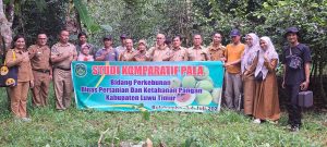 Dinas Pertanian Luwu Timur Mau Garap Tanaman Pala