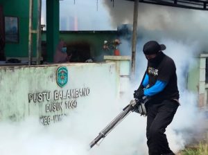 Cegah DBD, Dinkes Luwu Timur Berantas Sarang Nyamuk di Wilayah Pemberdayaan Vale