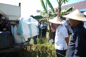 Strategi Pemkab Luwu Timur Penuhi Kebutuhan Benih Unggul