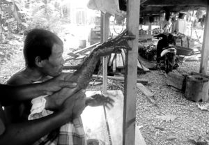Suleman Diserang Buaya di Sungai Pongkeru Luwu Timur, Lolos Setelah Menang ‘Duel’