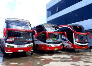 Pemkab Luwu Timur Sediakan Mudik Gratis Ramadhan 2024