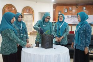 PKK Luwu Timur Dukung Penuh Gerakan Tanam Cabai Serentak se Indonesia