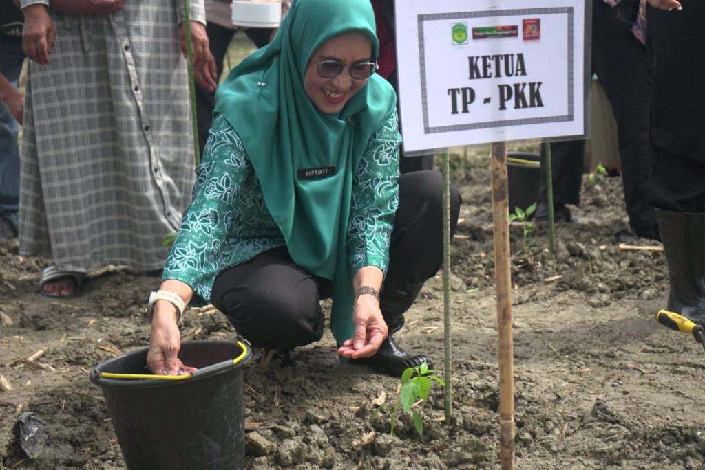 Ketua PKK Luwu Timur Tanam Cabe Serentak di Desa Maliwowo