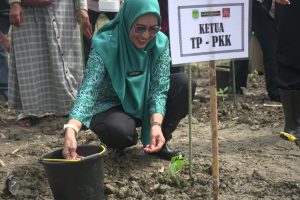 Ketua PKK Luwu Timur Tanam Cabe Serentak di Desa Maliwowo