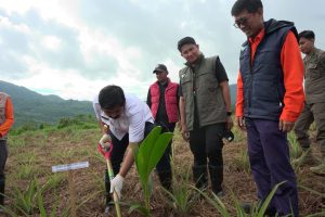Wabup Akbar Tanam Pohon di Wasuponda Peringati Hari Lingkungan Hidup Sedunia
