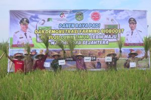 Panen Raya di Bayondo, Bupati Budiman Serahkan Belasan Unit Alsintan