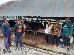 Dinas Pertanian dan Ketahanan Pangan Luwu Timur Turunkan Dokter Cek Kesehatan Hewan Kurban Jelang Iduladha