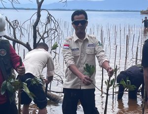 DLH Luwu Timur Apresiasi Karang Taruna Harapan Inisiasi Tanam Mangrove di Pantai Lampia