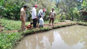 Reformer PKA Luwu Timur Implementasikan Inovasi “Si Arwana Merah”