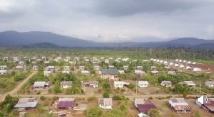 Data Transmigran di Luwu Timur dari 2007 Sampai 2023