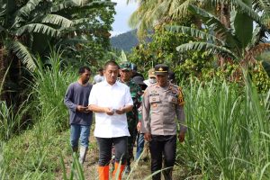 Tinjau Tanggul Jebol di Desa Alam Buana, Bupati Irwan Upayakan Penanganan Segera