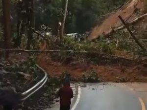 Bupati Luwu Timur Perintahkan Dinas PUPR Segera Tangani Longsor Kasintuwu