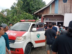 Tragis, Warga Mandiri Tomoni Luwu Timur Meninggal Terlilit Tali Sapi Gembalaannya