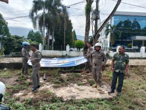 Satpol PP Luwu Timur Copot Baliho dan Spanduk Liar