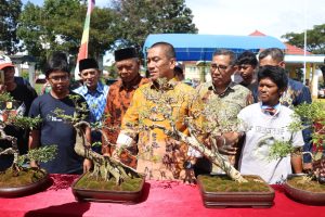 Bupati Irwan Harap Tanaman Bonsai Luwu Timur Tampil di Ajang Nasional
