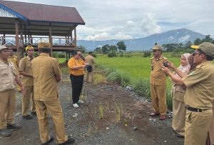 Direktur Pengadaan Lahan Kementan Cek Potensi Cetak Sawah 10.000 Ha di Luwu Timur