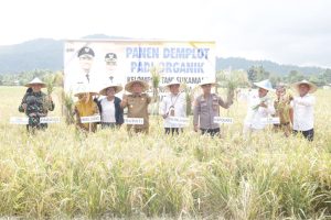 Bupati dan Wabup Luwu Timur Panen Padi Organik di Karambua