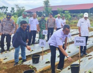 Firman Udding Dukung Upaya Pemerintah Tekan Laju Inflasi dan Perkuat Ketahanan Pangan Lewat Tanam Cabai