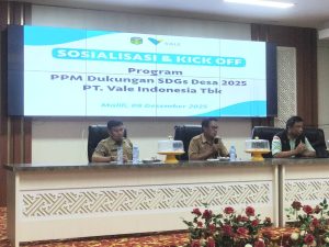 Luwu Timur Dorong Sinkronisasi Program dan Penguatan Layanan Kesehatan Desa