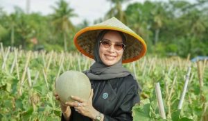 PKK Luwu Timur Salurkan Bantuan Media Tanam Hidropnik di Desa Wanasari