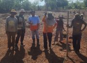 Bantu Masyarakat Lima Desa Ubah Lahan Jadi Produktif, PT CLM Fasilitasi Bibit Jagung Pupuk dan Penyuluh