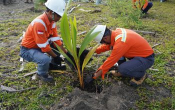 Hari Bumi 2026, Komitmen Hijau Area Operasi Morowali, PT Vale Tanam Pohon dan Gaungkan Hemat Energi