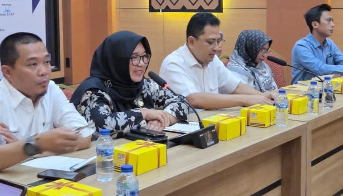 Bertemu BBWS Pompengan-Jeneberang, Wabup Luwu Timur: Jaga Sungai Adalah Keharusan