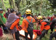 Perempuan yang Tersesat di Hutan Battang Barat Ditemukan Selamat