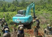 Diawali Protes, Land Clearing Lahan PSN PT IHIP di Lampia Berujung Kondusif