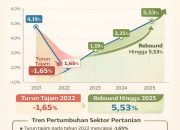 Sektor Pertanian Luwu Timur Alami Tren Positif