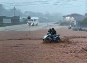 WALHI Sulsel Desak PT PUL Hentikan Aktivitas Tambang di Luwu Timur