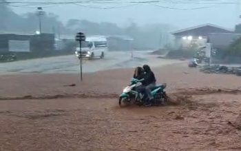 WALHI Sulsel Desak PT PUL Hentikan Aktivitas Tambang di Luwu Timur