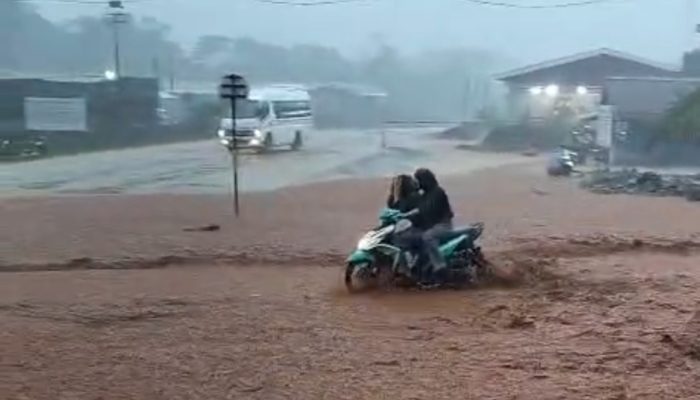 WALHI Sulsel Desak PT PUL Hentikan Aktivitas Tambang di Luwu Timur