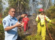 Bupati dan Kapolres Luwu Timur Turun Padamkan Kebakaran Lahan di Malili