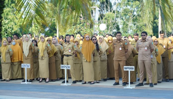 Pimpin Apel, Bupati Luwu Timur Ingatkan Pegawai Kedepankan Disiplin