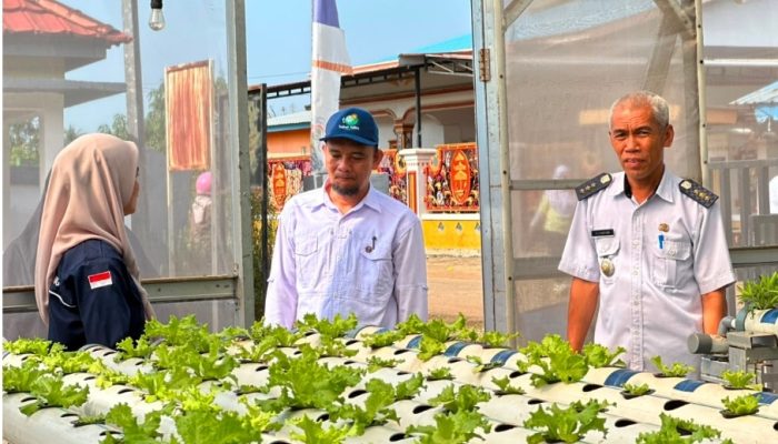 Proklim Utama 2026, Desa Tabarano dan Balantang Luwu Timur Diverifikasi