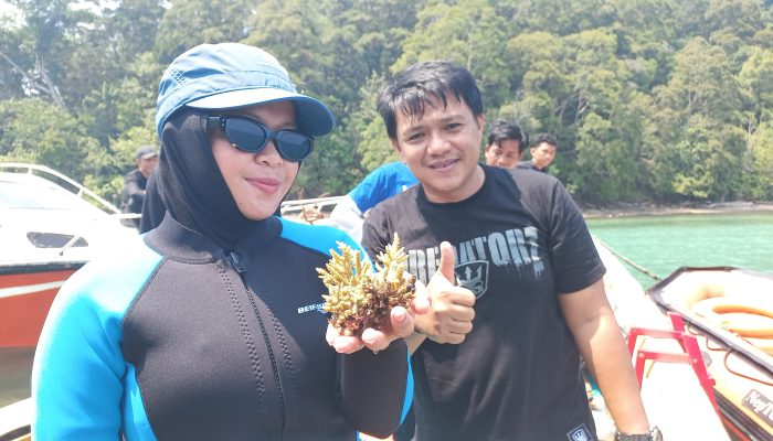 Transplantasi Karang Bantu Atasi Terumbu Karang Kritis di Pulau Bulu Poloe