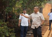 Jembatan Kayu Loppe Lapuk dan Berlubang, Bupati Luwu Timur Upayakan Dibangun Permanen