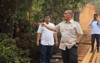 Jembatan Kayu Loppe Lapuk dan Berlubang, Bupati Luwu Timur Upayakan Dibangun Permanen
