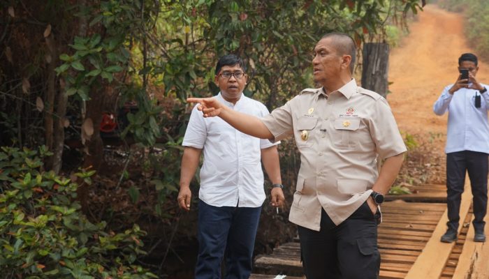 Jembatan Kayu Loppe Lapuk dan Berlubang, Bupati Luwu Timur Upayakan Dibangun Permanen